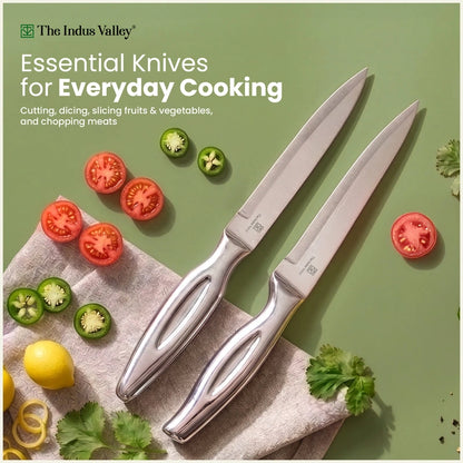 Premium Stainless Steel Knife Set of 5 with Wooden Stand