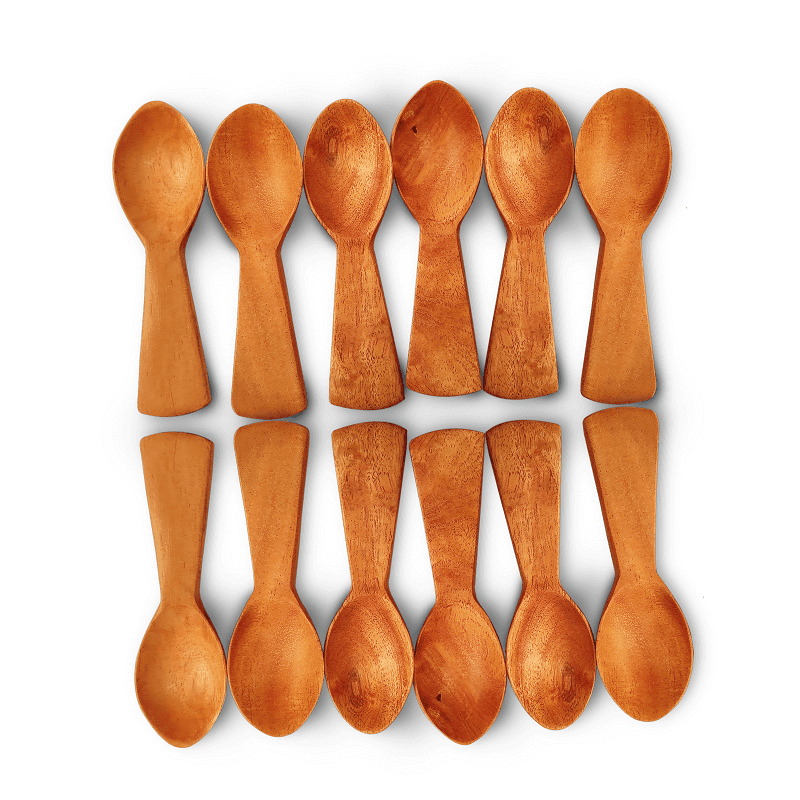 Neem Wood Condiments Spoon - Set of 12 - The Indus Valley