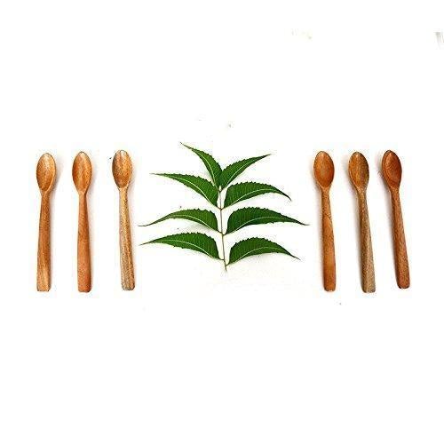 Neem Wood Masala Spoon-Set Of 6 (12 cm) - The Indus Valley